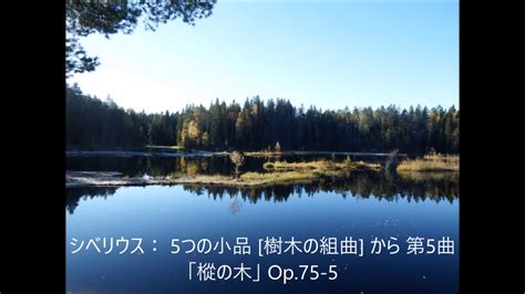 シベリウス： 5つの小品 樹木の組曲 から 第5曲 「樅の木」 Op 75 5 Youtube