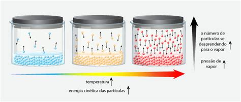 O Que Acontece Com A Temperatura Durante A Ebulição - Ebulição: o que é, como acontece, resumo - Mundo Educação