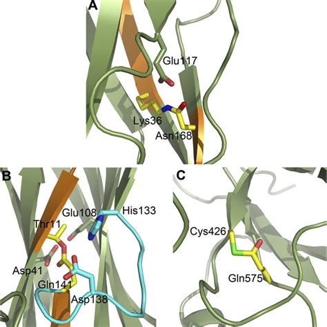 PDF Yet More Intramolecular Cross Links In Gram Positive Surface Proteins