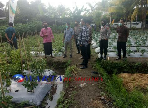 Desa Gelanggang Masuk Penilaian Tim Provinsi Dalam Lomba Kampung Sehat