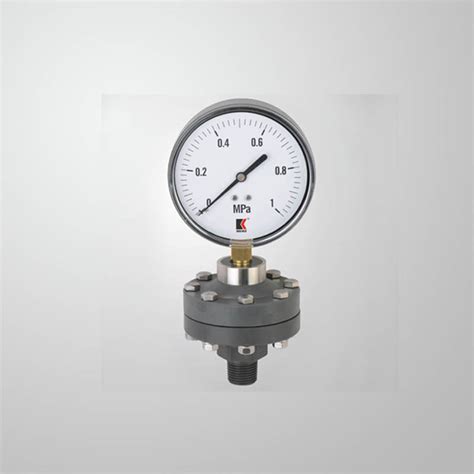 Modelwkdp Diaphragm Pressure Gauge Ningbo Weike Instrument Co Ltd