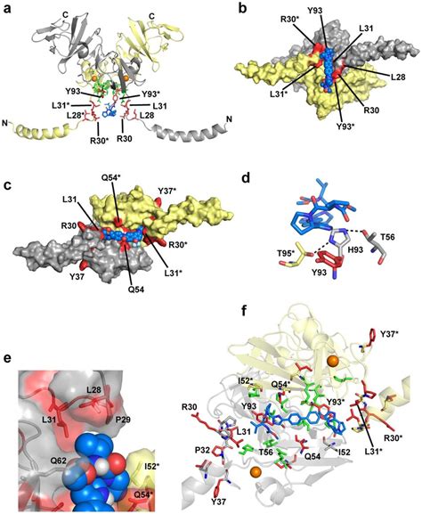 Docking Of Inhibitors And Mapping Of Drug Resistance And Genotype