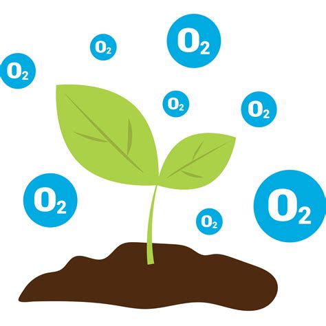 Calculo De Fio2 Por Litro De Oxigeno 8