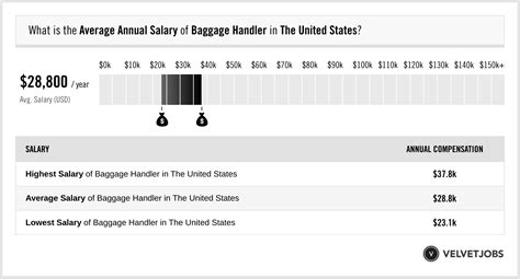 Baggage Handler Salary (Actual 2024 | Projected 2025) | VelvetJobs