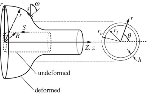 Deformed And Undeformed Configurations Of A Finite Deformation In An Download Scientific