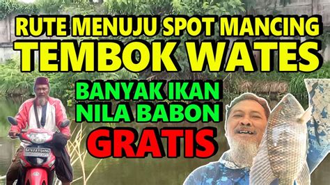 RUTE SPOT MANCING NILA BABON GRATIS YouTube