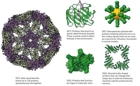 Nobel Prize 2024 Three Protein Chemists Share Prize For Discoveries On Life S Building Block