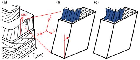 Representation of the material constituting the secondary cell wall: a ...