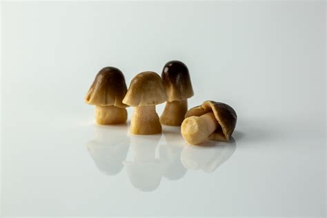 Straw Mushroom for Babies - When Can Babies Eat Straw Mushrooms - Solid ...