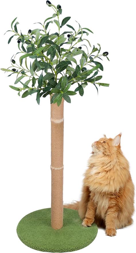 Amazon Aplatho Scratching Posts For Indoor Cats Adults 33 2