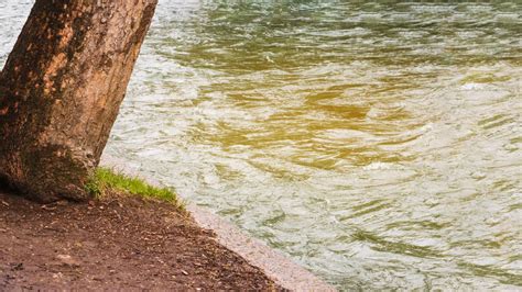 Técnicas De Prevención En La Contaminación De Aguas Subterráneas