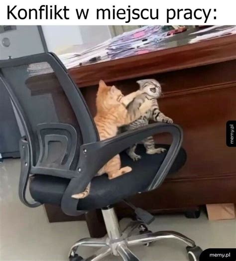 Konflikt W Miejscu Pracy Memy Pl