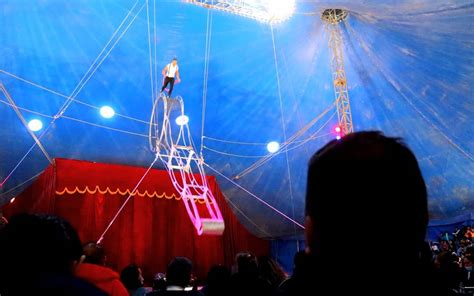 Lleva el DIF San Pedro al circo a mil niños y niñas El Sol de la