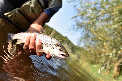 Best Fishing Spots In Ireland • Travel Tips