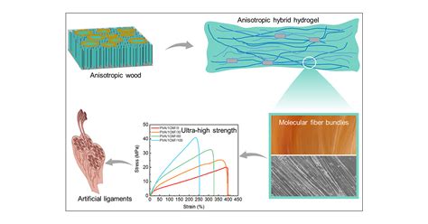 Natural Wood Inspired Ultrastrong Anisotropic Hybrid Hydrogels