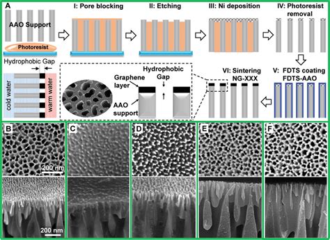 Membrane Fabrication A Schematic Crosssectional Illustration Of The