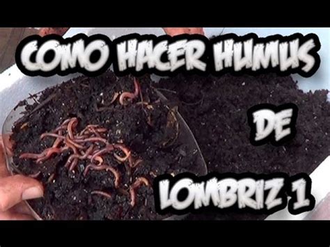 Como Hacer Humus De Lombriz Abono Organico La Huertina De Toni