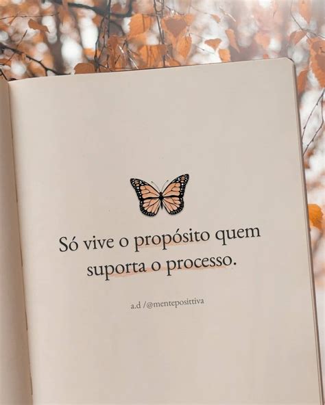 Frase So Vive O Proposito Librain