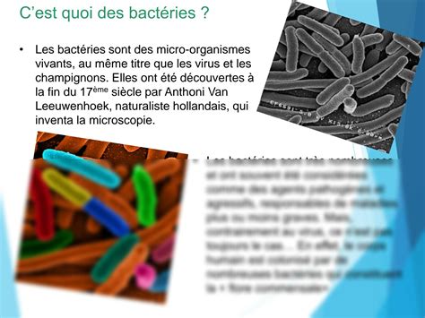 Solution Tout Savoir Sur Les Antibiotiques Studypool