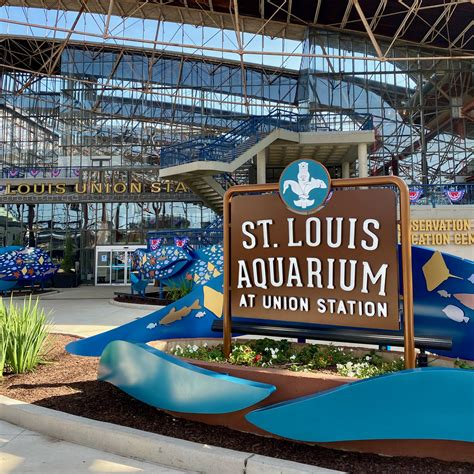 A Peek Inside The St Louis Aquarium Amanda Markel