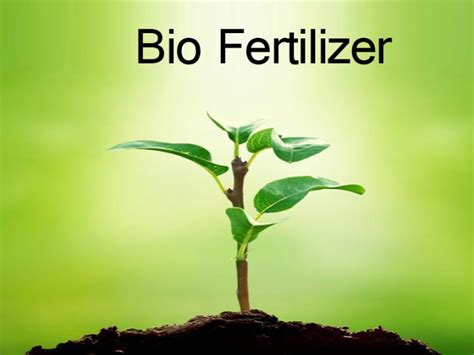 Biofertilizer- Advantages, Types, methods of application and ...