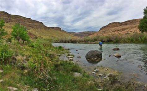 lake owyhee state park reviews updated