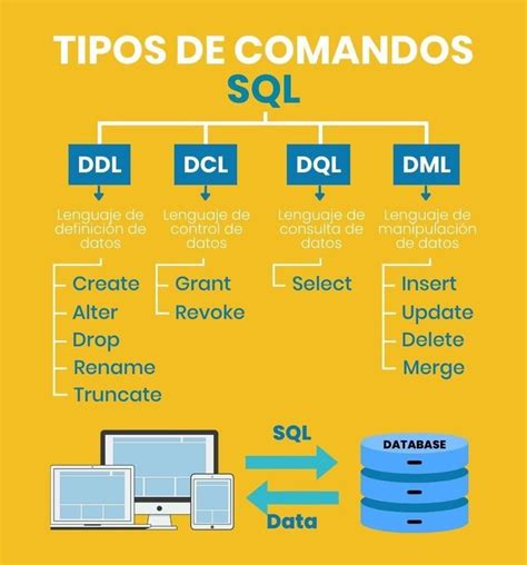 Tipos De Comandos Sql Desarrollo De Software Desarrollo De