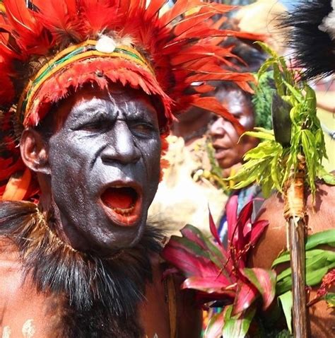 10 Best Papua New Guinea Tours & Trips 2024/2025 - TourRadar