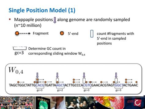 Biases In Rna Seq Data October 15th 2012 Nbic Advanced Rna Seq Course Ppt Download