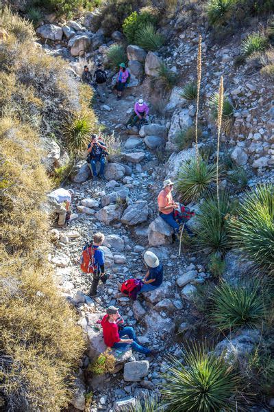 Hiking Ortega Peak in Alamogordo - Richer Living