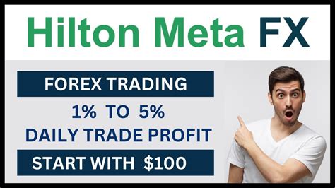 Hilton Meta Fx Plan Forex Trading To Daily Trade Profit