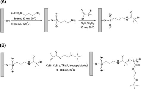 Spatial Control Over Cross Linking Dictates The Ph Responsive Behavior