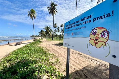 Praia do Forte Bahia 40 dicas para curtir esse paraíso