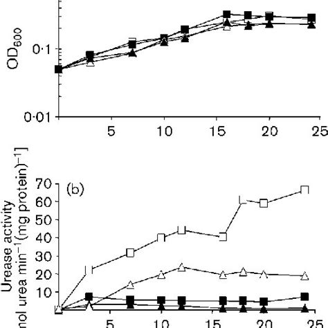 Effect Of Growth Phase On Nickel Responsive Induction Of Urease