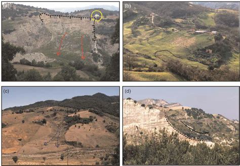 Four examples of different landslide typologies surveyed in the study ...