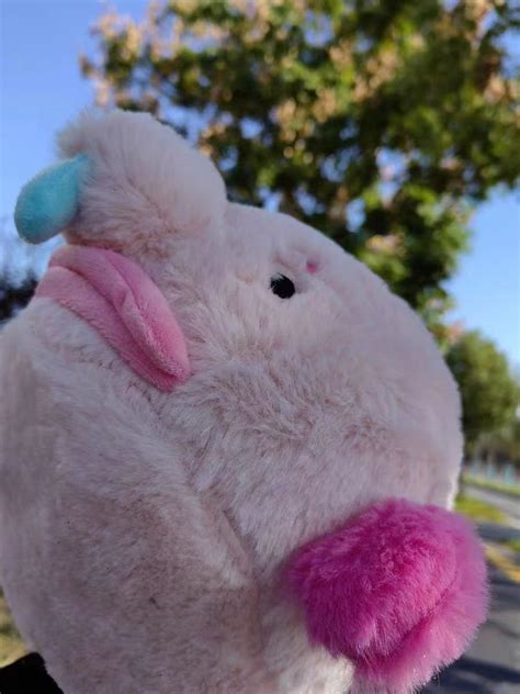 Plush Blobfish, Plush Doll, Fish Pillow, Cute Blobfish Plush, Unique Birthday Gift. - Etsy