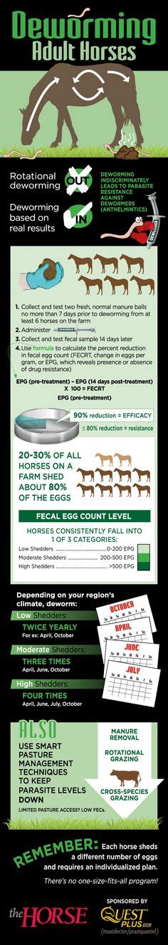 Horse Deworming Schedule Chart Horse Worming Schedule Horses Horse Care