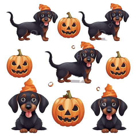 Cute Cartoon Dachshund With Halloween Custom And Pattern Set Dog