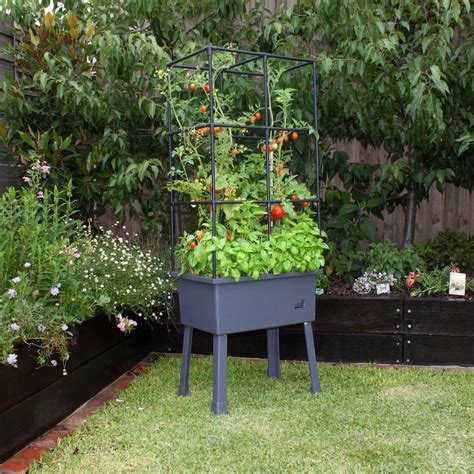 Self Watering Elevated Planter With Trellis Frame And Greenhouse Cover