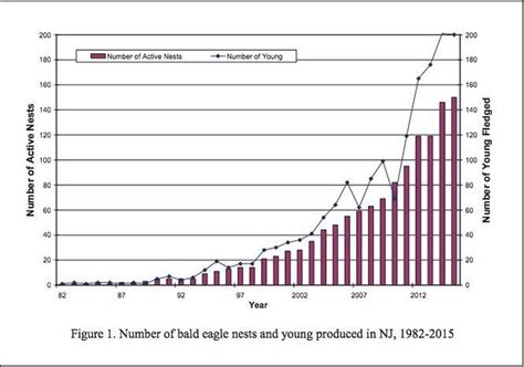 Bald Eagle Age Chart