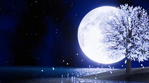 Fenomena Langit Super Blue Moon Terjadi Hari Ini Dan Besok Bulan