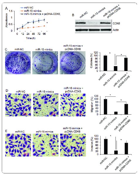 Cdk Recues The Tumor Suppressive Effects Of Mir On Osteosarcoma