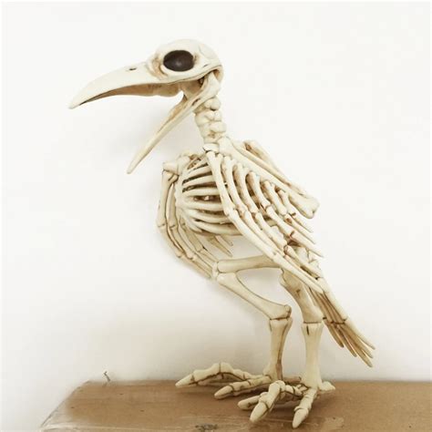 Crazy Bone Skeleton Raven Plastic Animal Skeleton Bones Horror Halloween Decoration Halloween ...