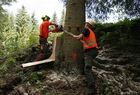 Bundesheer Steiermark Fotogalerien Assistenzeinsatz Obdachegg