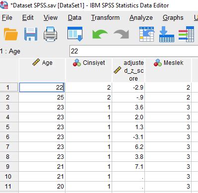 SPSS ile Ki Kare Bağımsızlık Testi Post Hoc Resimli SPSS YARDIMI