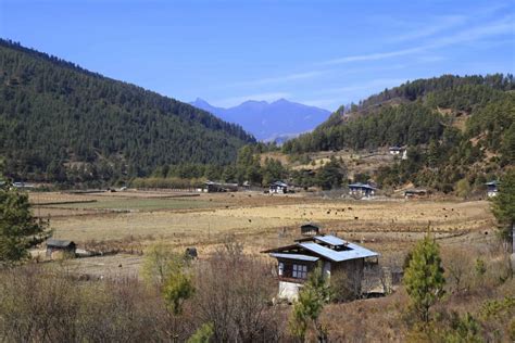 Where To Go In Bhutan Travelingeast