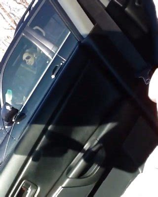 Cock Flashing In Train And Bus Porn Pictures XXX Photos Sex Images PICTOA