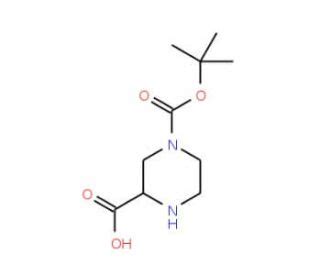 Boc Piperazine Carboxylic Acid Cas Scbt Santa