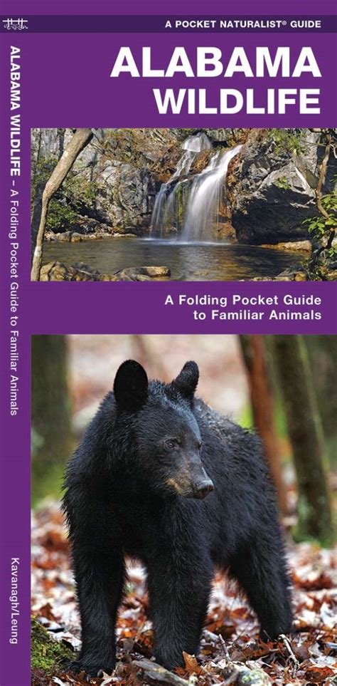 Alabama Wildlife Pocket Guide