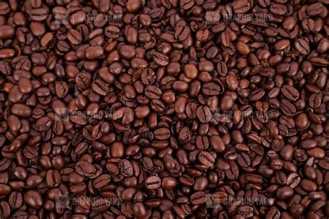 Coffee beans close up stock image · Graphic Yard | Graphic Templates Store